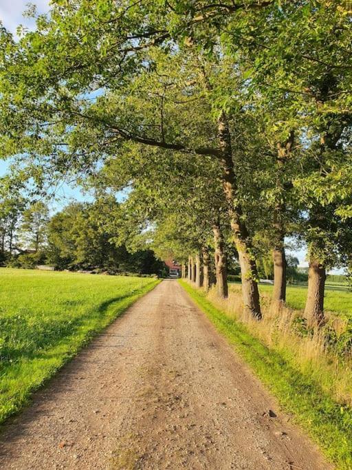 Leuk Boerderijtje Op Prachtige Plek, Nabij Natuurgebied Ruurlo Exterior photo