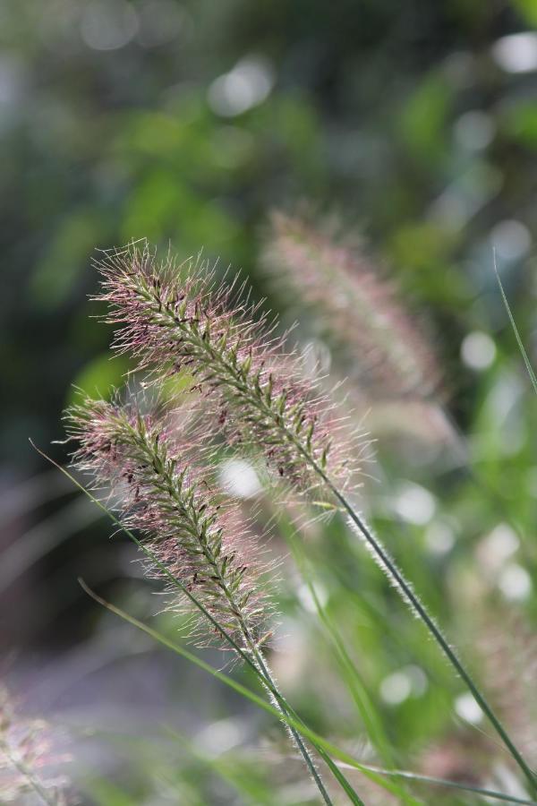 Leuk Boerderijtje Op Prachtige Plek, Nabij Natuurgebied Ruurlo Exterior photo