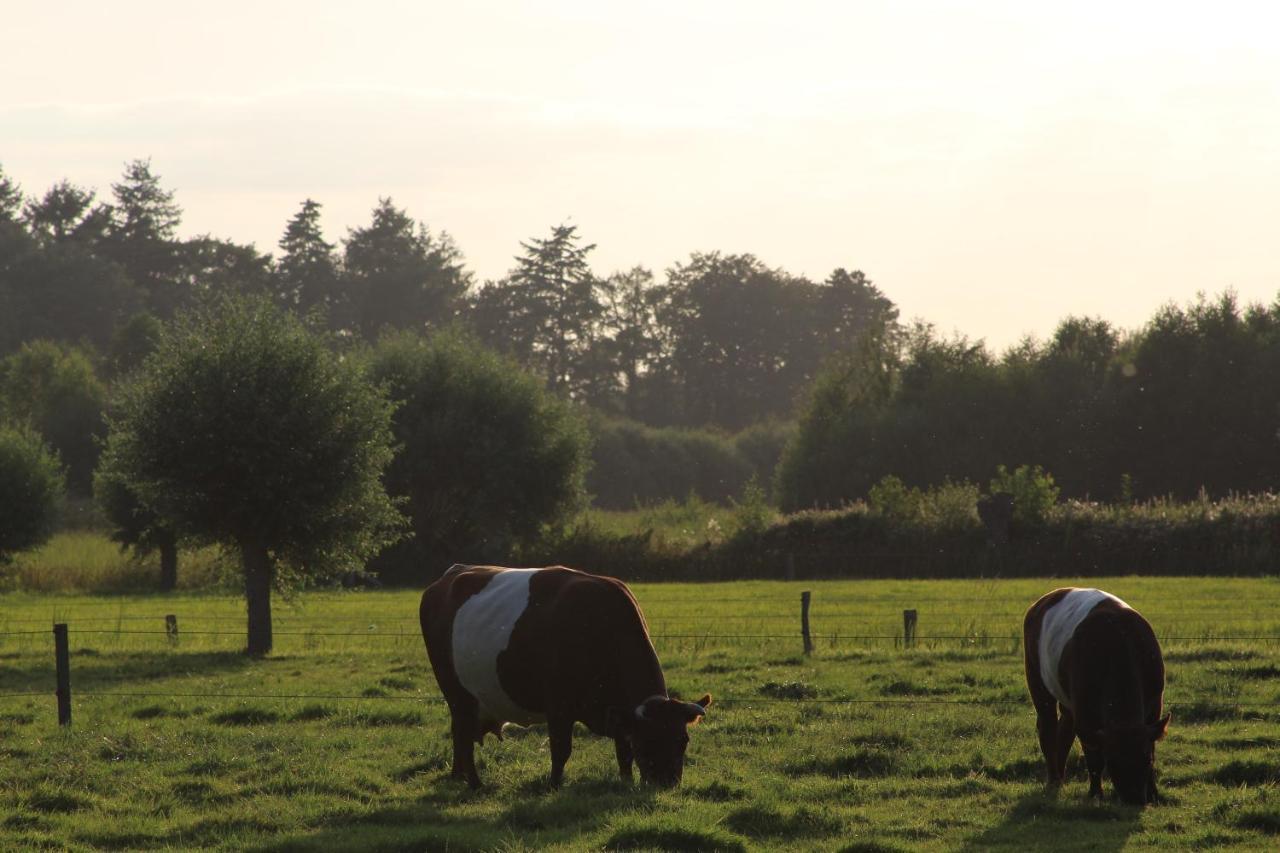 Leuk Boerderijtje Op Prachtige Plek, Nabij Natuurgebied Ruurlo Exterior photo